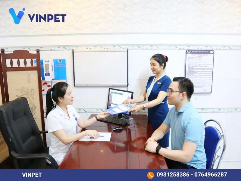 Deploying VINPET's hospital management service enhances patient experience