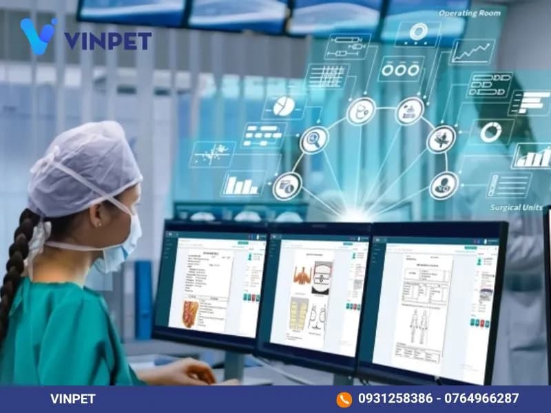 Standardize all work processes according to ISO standards